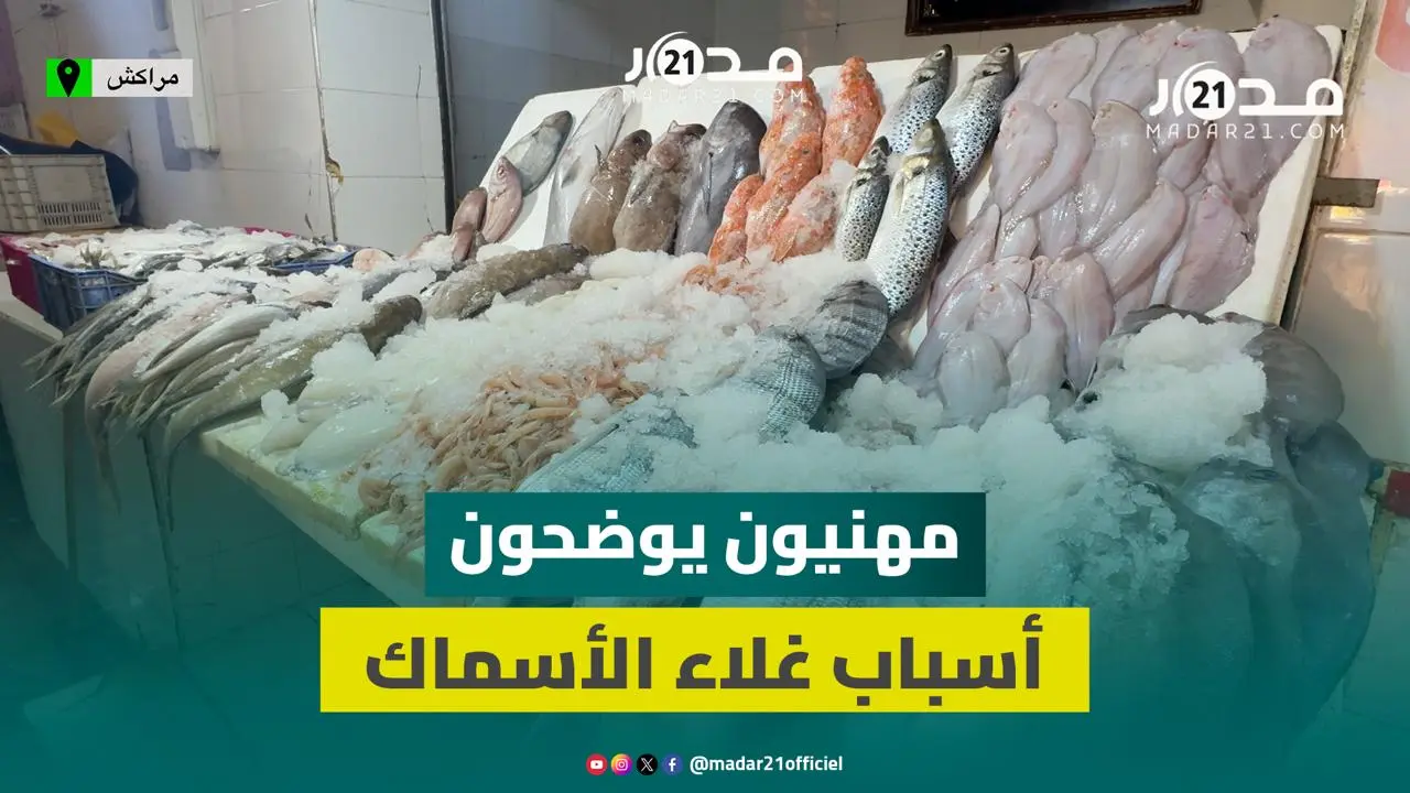 ارتفاع أثمان السمك.. مهنيون يوضحون الأسباب ويربطونها بتقلبات الطقس ويفضخون ممارسات الغش