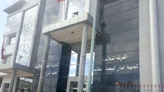 92 صوتا للفحل.. الأحرار يتصدر انتخابات مجلس المستشارين للغرف الفلاحية