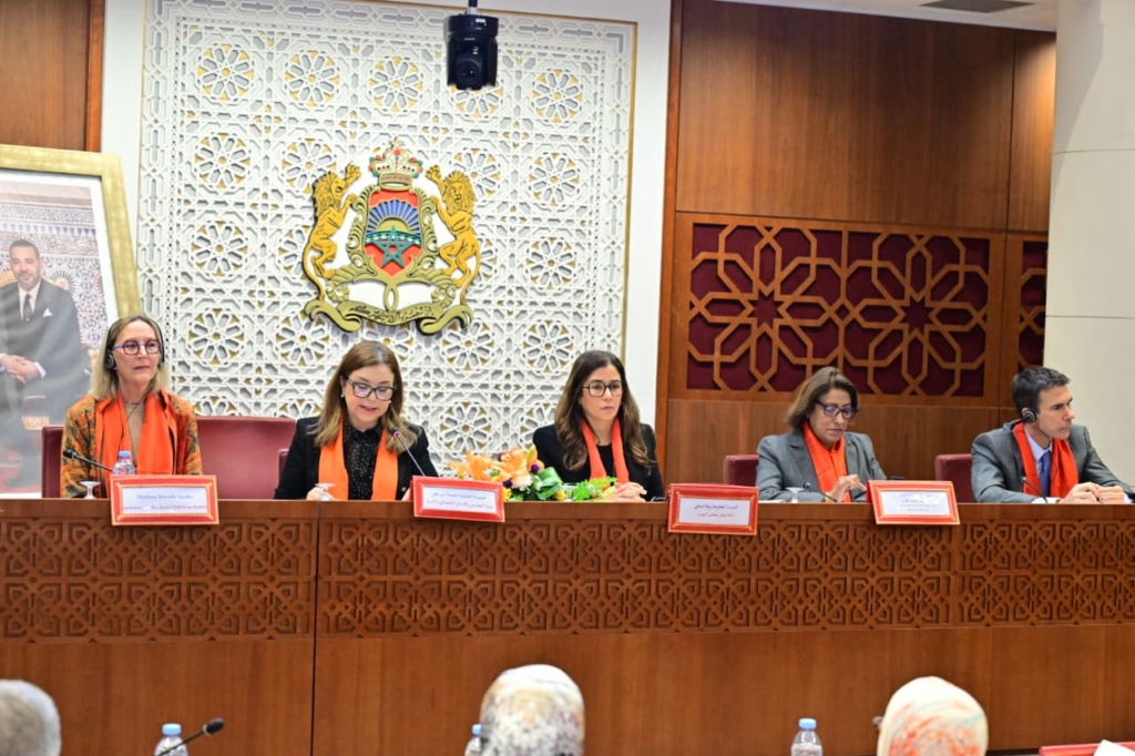 دعوة لدمج العمل المنزلي للمرأة ضمن رؤية الدولة الاجتماعية