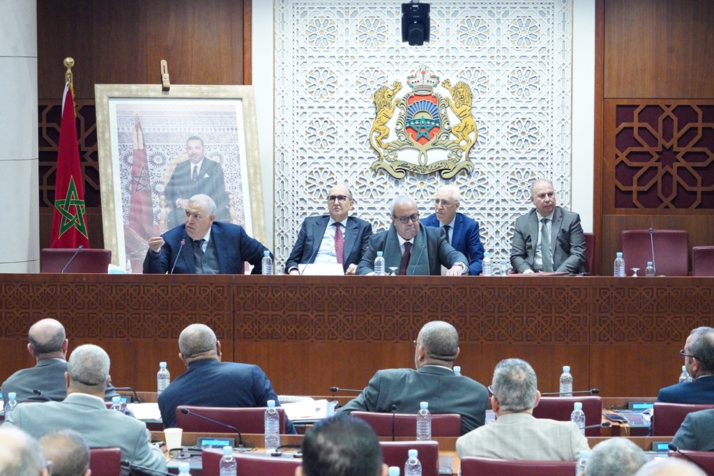 لفتيت يُخفّف صياغة المادة 51 ويؤكد: الغرض ليس التشكيك السياسي بالانتخابات