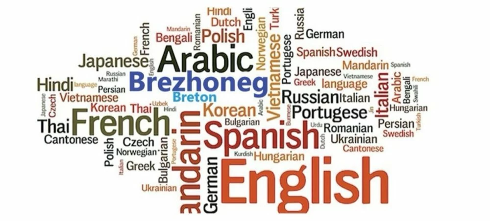 إطلاق المنصة الوطنية لتعلم اللغات بالداخلة