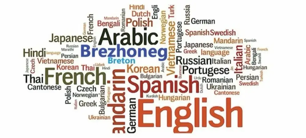 إطلاق المنصة الوطنية لتعلم اللغات بالداخلة