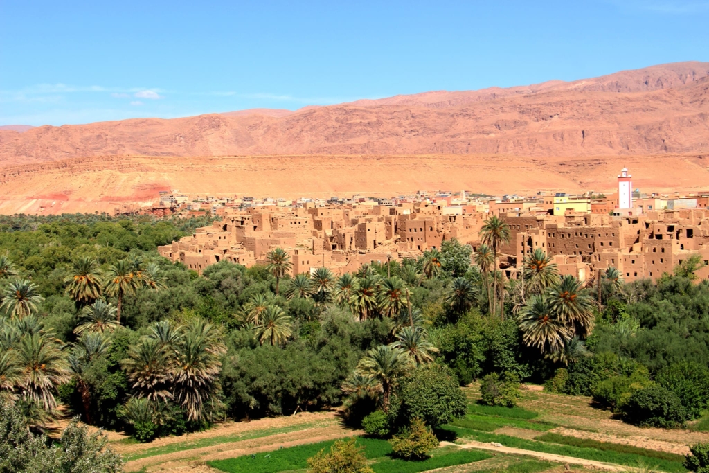 يوم دراسي يناقش صمود واحات تنغير أمام الكوارث