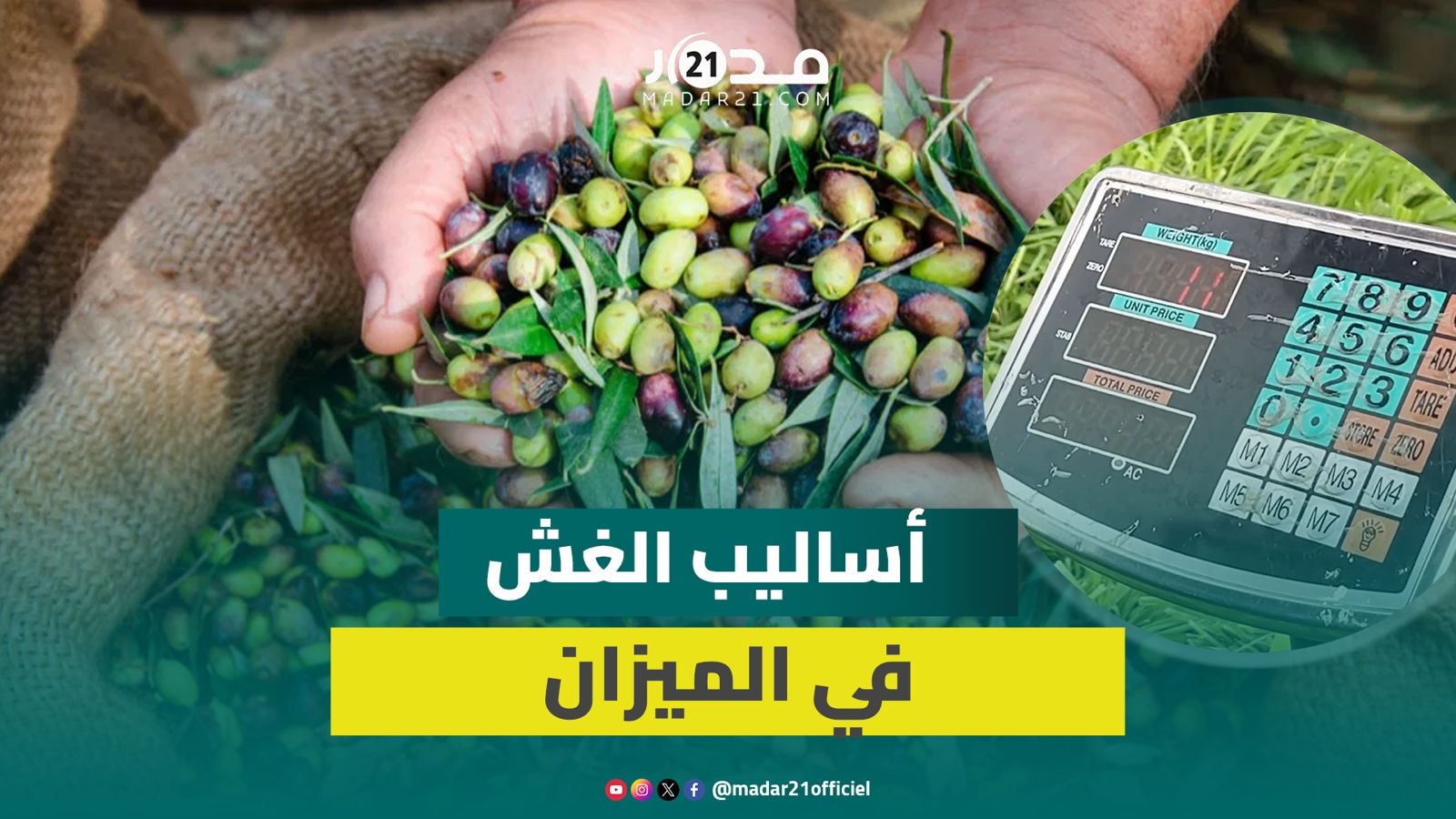 مع الإقبال على شراء الزيتون.. فلاح يفضح أساليب الغش في الميزان بالأسواق
