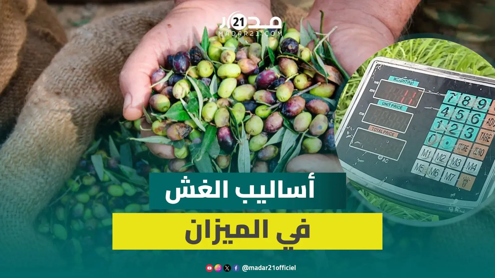 مع الإقبال على شراء الزيتون.. فلاح يفضح أساليب الغش في الميزان بالأسواق