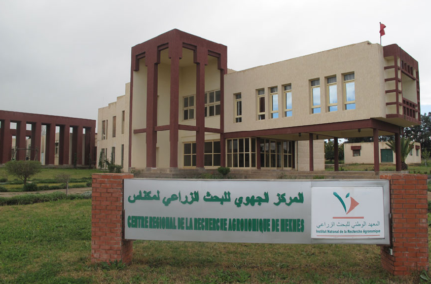 اختتام المشروع المتوسطي “جبلهن” لتمكين النساء بمكناس