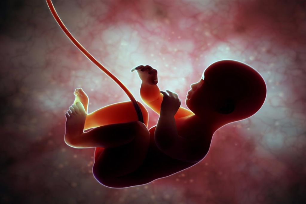 الذكاء الاصطناعي يساهم في تحسين فحص الأجنة