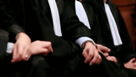 اجتماع استثنائي للمحامين بعد نشر قانون المحاماة بالجريدة الرسمية