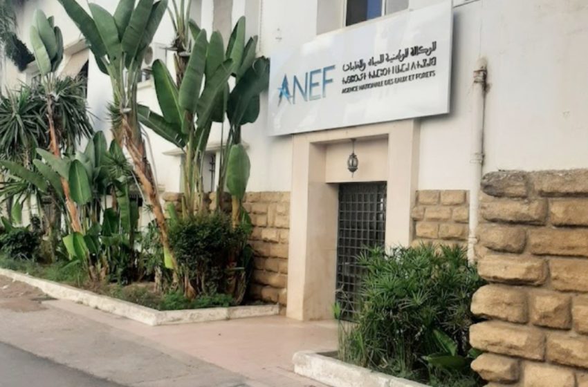 تقديم مشروع المنتزه الوطني الداخلة وادي الذهب