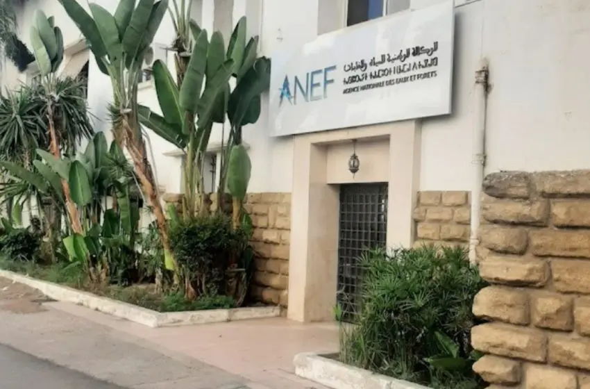 تقديم مشروع المنتزه الوطني الداخلة وادي الذهب