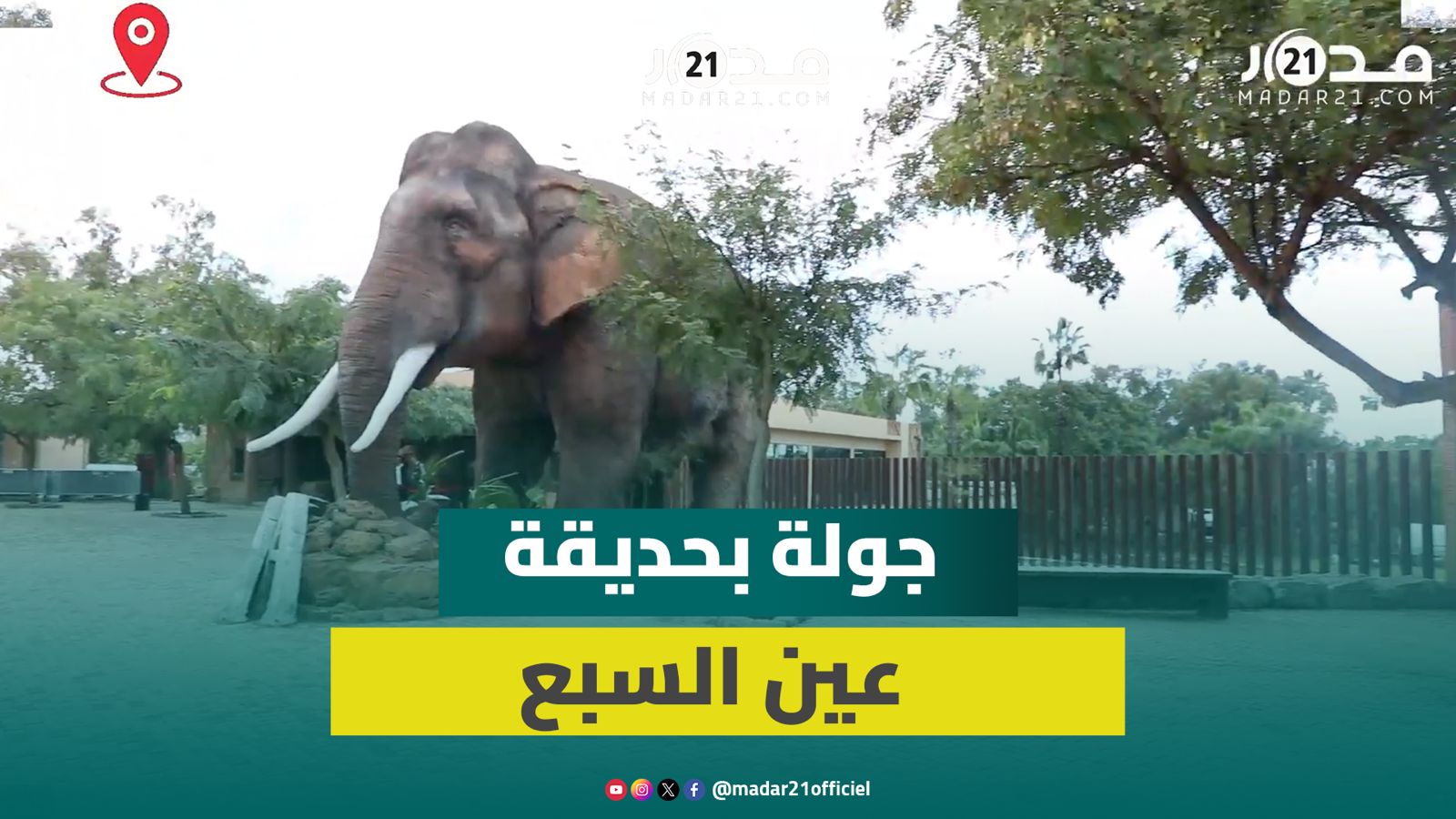 الدار البيضاء : بعدسة مدار جولة داخل حديقة الحيونات عين السبع