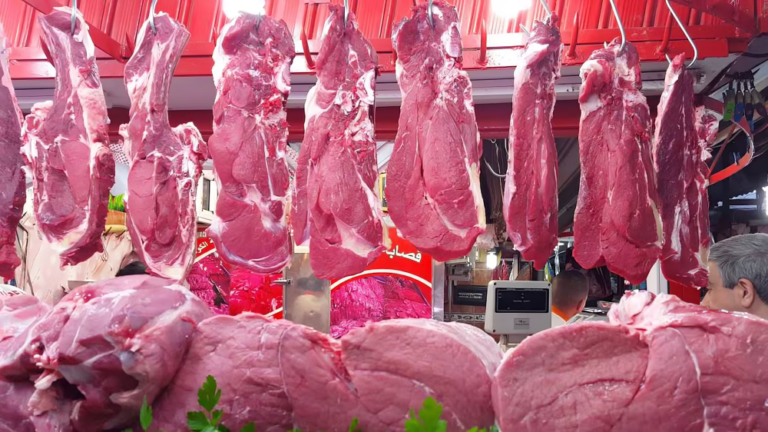 اللحوم الحمراء 16 مهنيون: أسعار اللحوم الحمراء مُرشَّحة للانخفاض بحلول رمضان