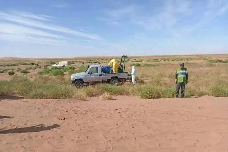 الفاو تؤكد معالجة المغرب وموريتانيا لعشرات آلاف الهكتارات لمكافحة الجراد