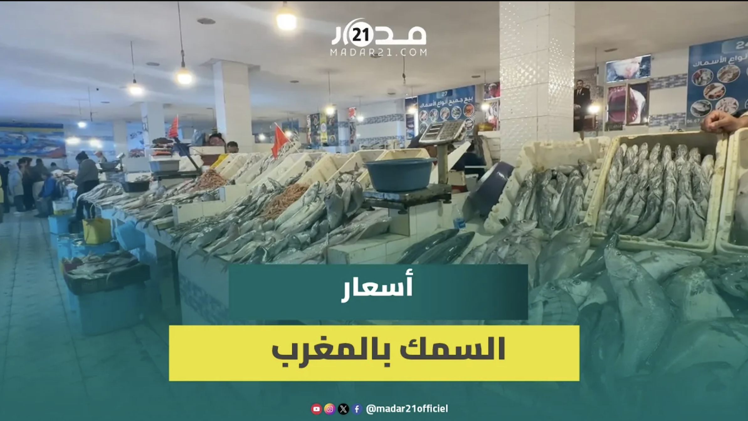 الراحة البيوجية ترفع أسعار السمك بالمغرب وتجار يشتكون ضعف الإقبال