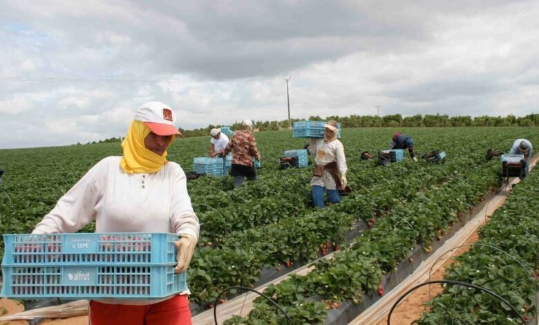 تخصيص 200 مليون لمشاريع فلاحية بتازة