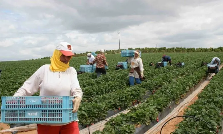تخصيص 200 مليون لمشاريع فلاحية بتازة