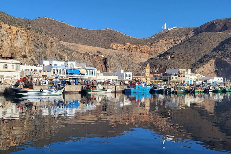 دراسة تكشف وضع المخزون السمكي بالحسيمة