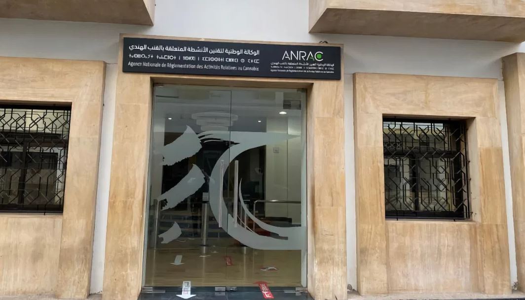 وفد غاني يزور المغرب للاطلاع على تجربة تقنين القنب الهندي