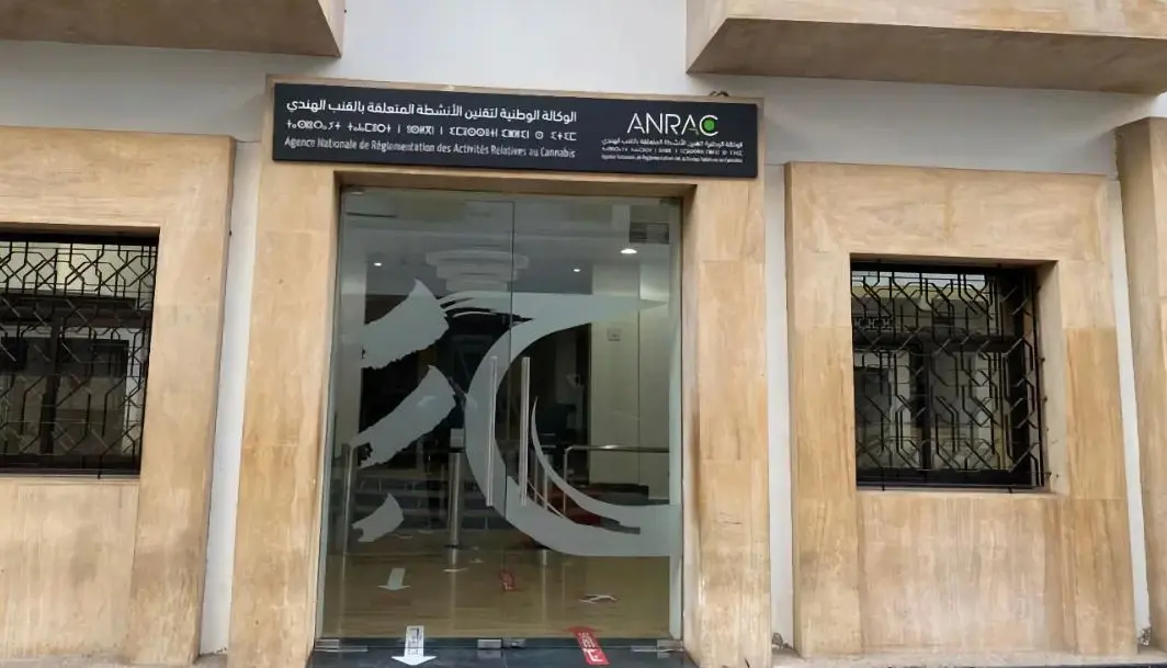 وفد غاني يزور المغرب للاطلاع على تجربة تقنين القنب الهندي