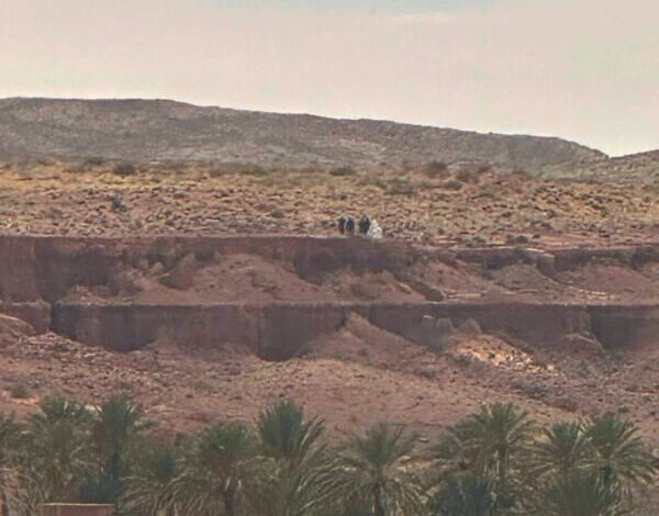 برلمانية تسائل الحكومة حول “تحرشات” الجزائر بالجهة الشرقية للمغرب