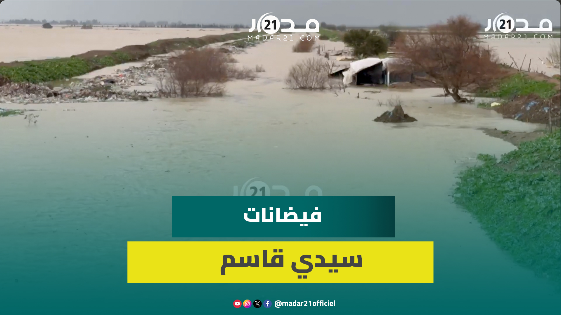 حماية المستهلك: أسعار الجملة تراجعت وتجار التقسيط يرفعون الأثمان وعلى الحكومة التدخل