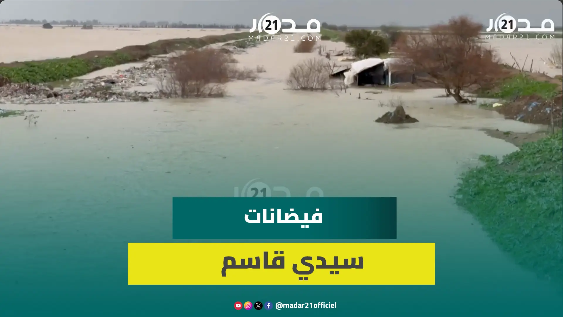 حماية المستهلك: أسعار الجملة تراجعت وتجار التقسيط يرفعون الأثمان وعلى الحكومة التدخل