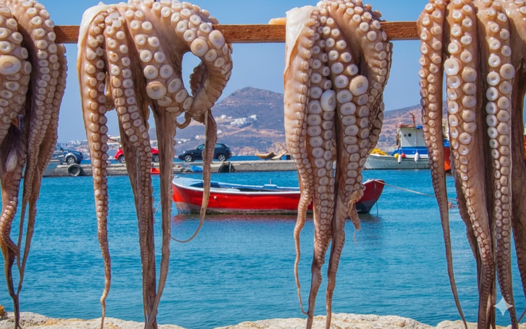 الحكومة تكشف “نظام الحصص” في صيد الأخطبوط لضبط الثروة البحرية