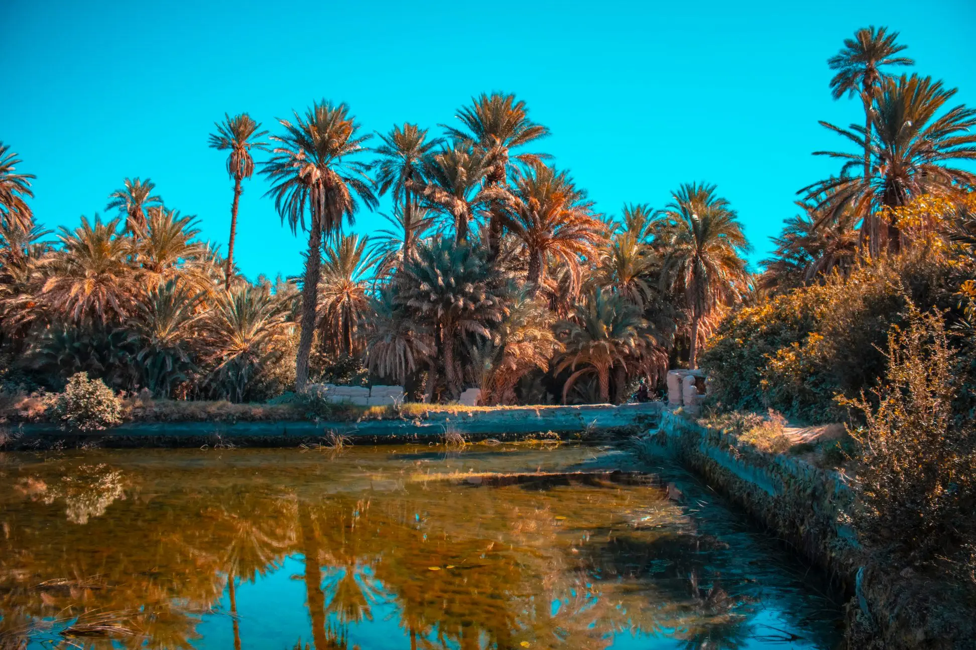 اجتماع لتتبع تنفيذ اتفاقية تأهيل النباتات الطبية بطاطا