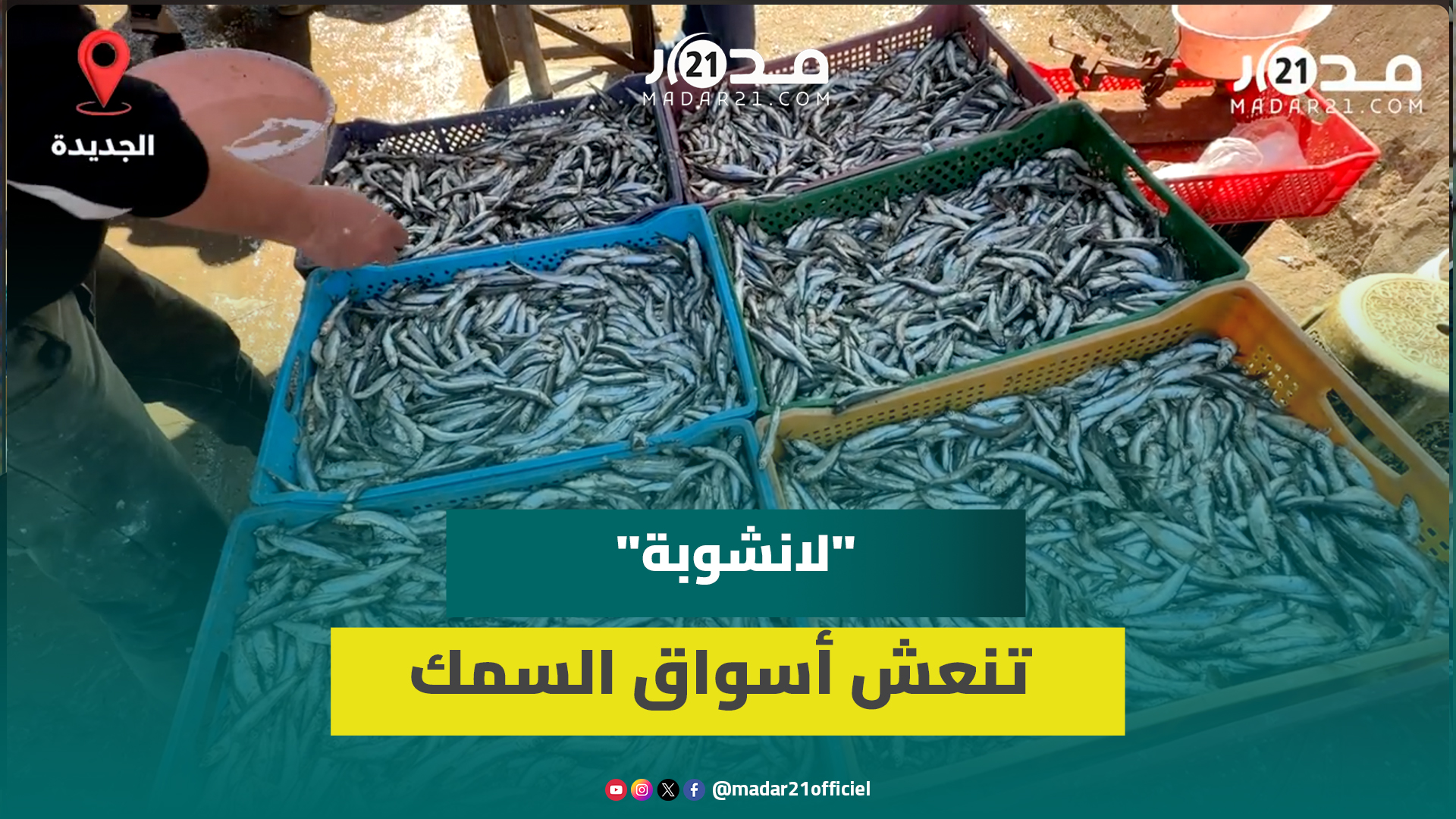 ارتفاع العرض وانخفاض الأسعار يرفع الإقبال على “لانشوبة” بالجديدة بعد تفريغ قوارب الصيد