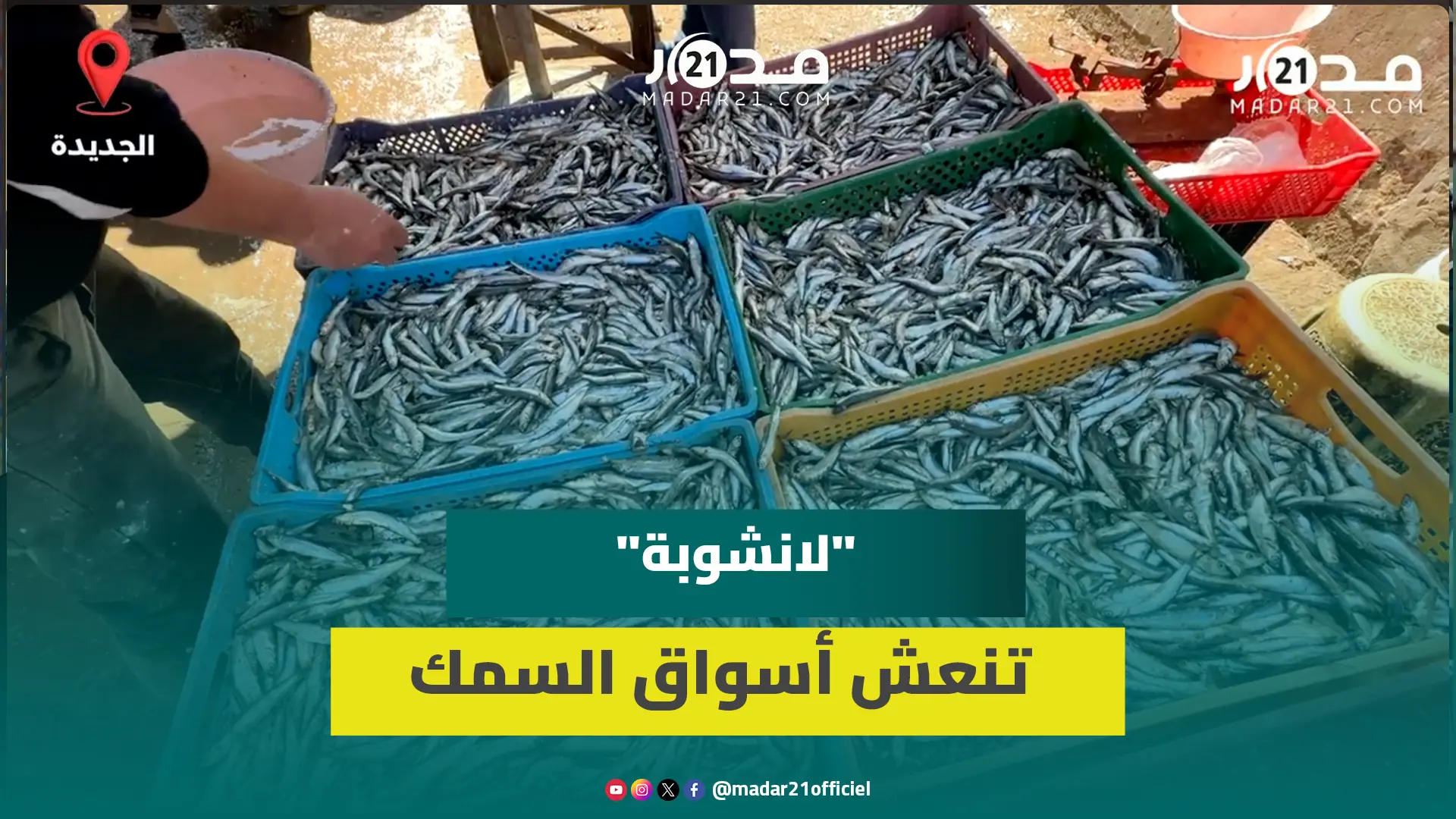 ارتفاع العرض وانخفاض الأسعار يرفع الإقبال على “لانشوبة” بالجديدة بعد تفريغ قوارب الصيد