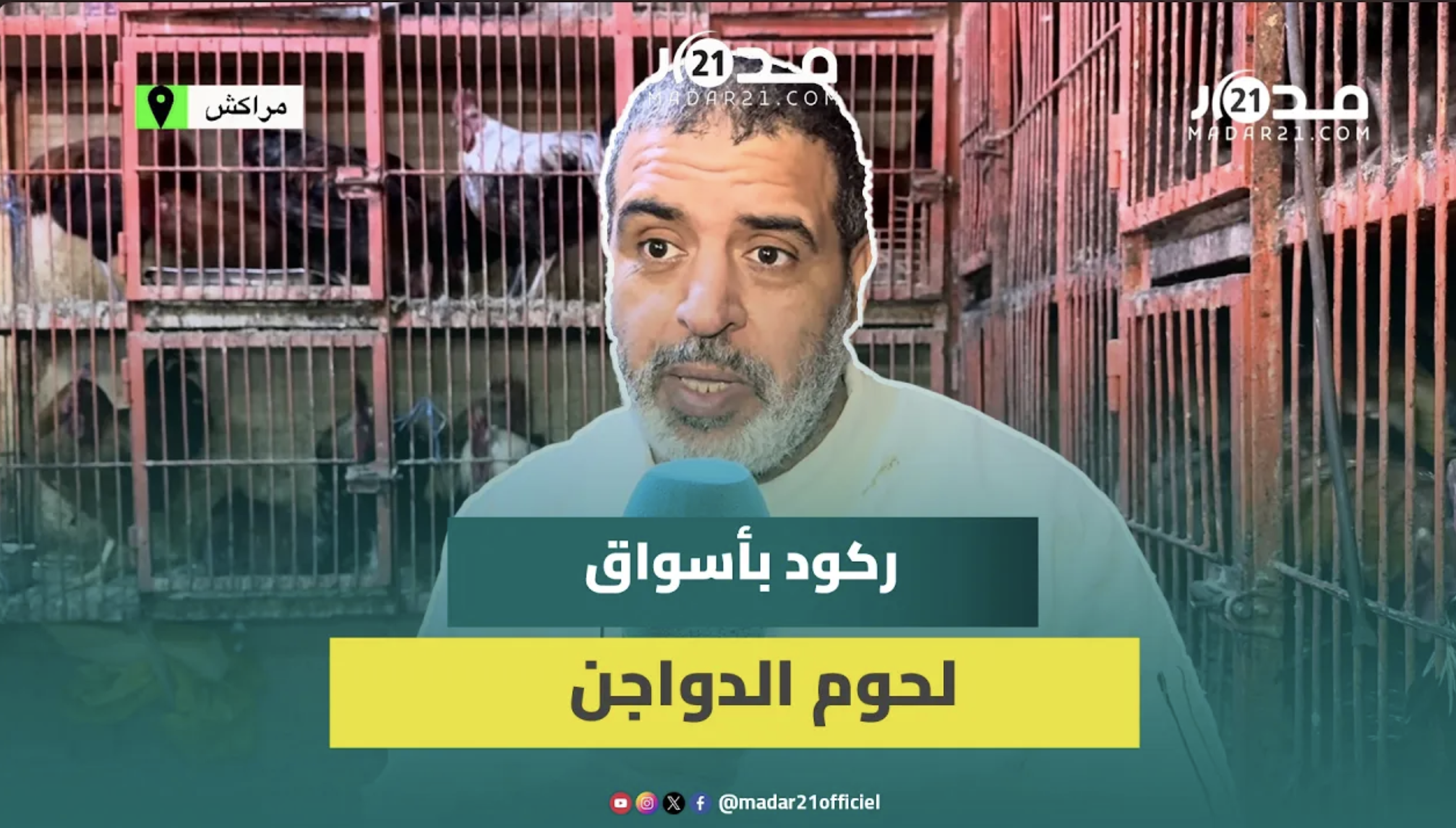 بائع دجاج: الإقبال تراجع بالنصف بسبب الغلاء والمسكين مابقاش قادر يشري الدجاج