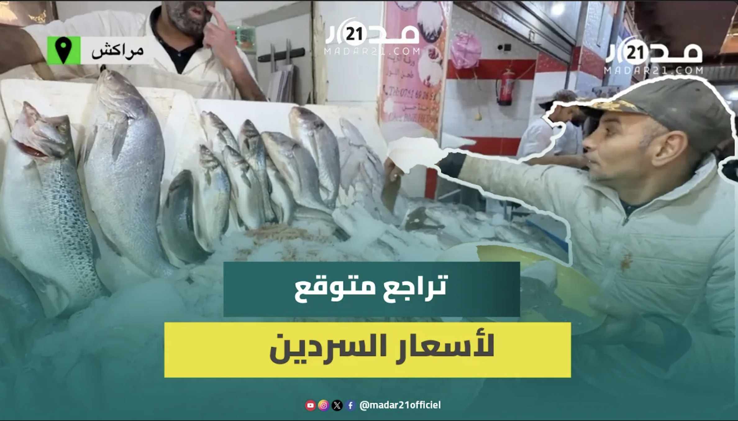 أسعار السردين تتجاوز 30 درهماً بمراكش والمهنيون يتوقعون تراجعا بدءً من الثلاثاء