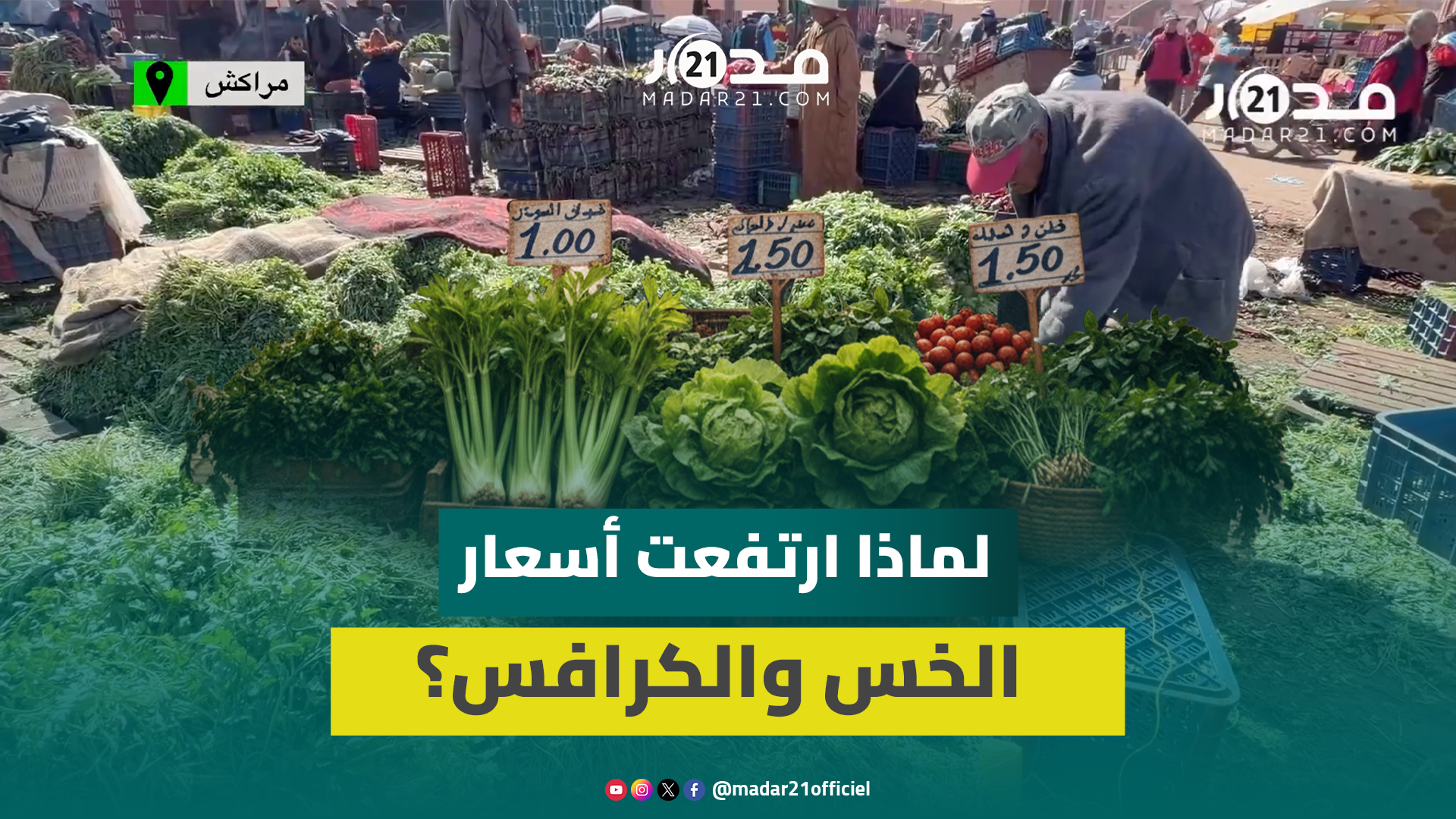 ارتفاع أسعار الكرافس والخس والربيع في أولى أيام رمضان.. تجار يوضحون الأسباب