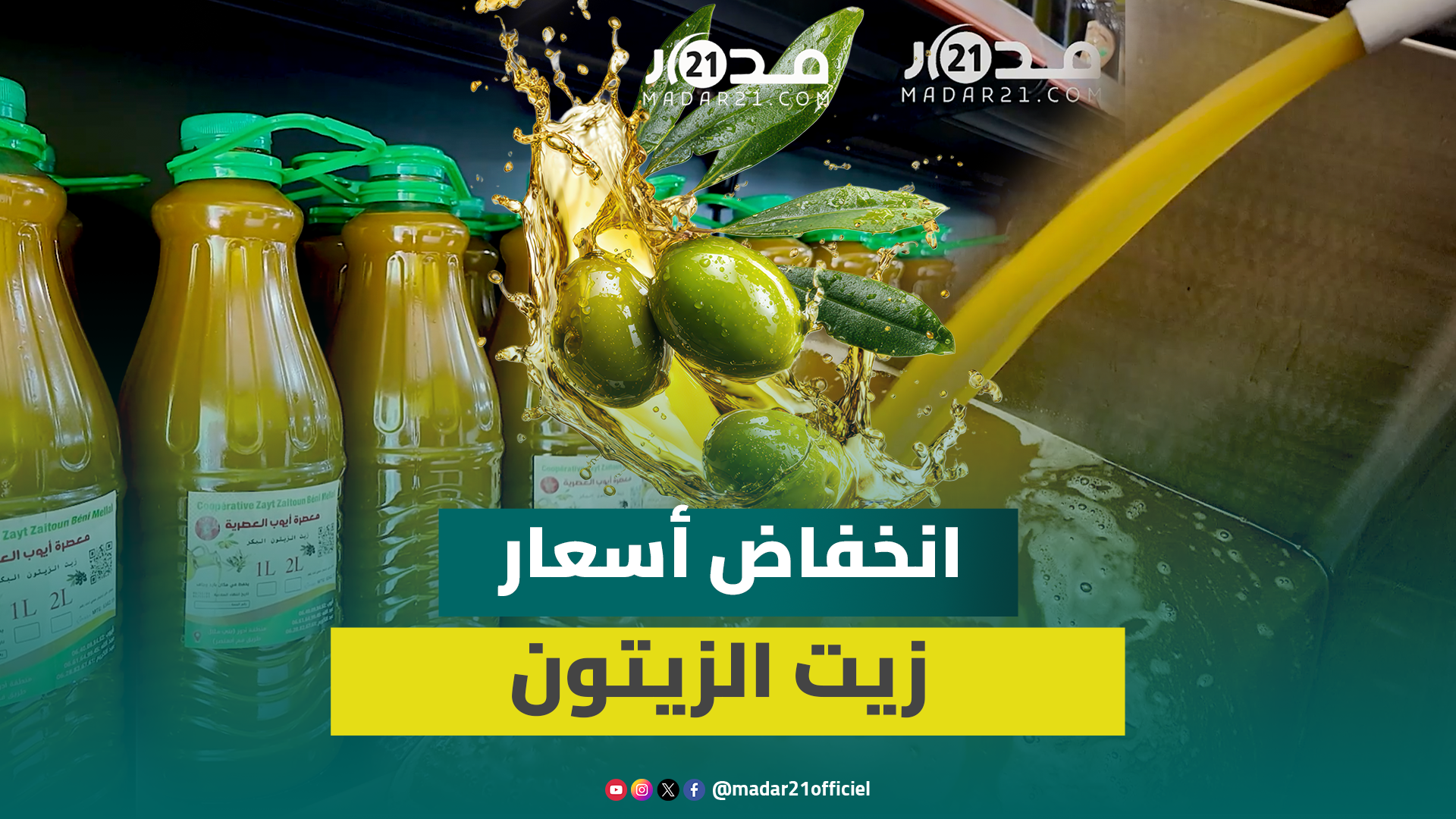 وفرة الزيتون ووقف التصدير يخفض أسعار زيت الزيتون لأقل من 50 درهما