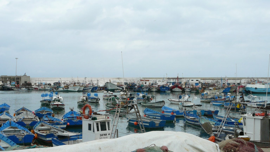 انخفاض مفرغات الصيد بميناء المضيق بـ4%