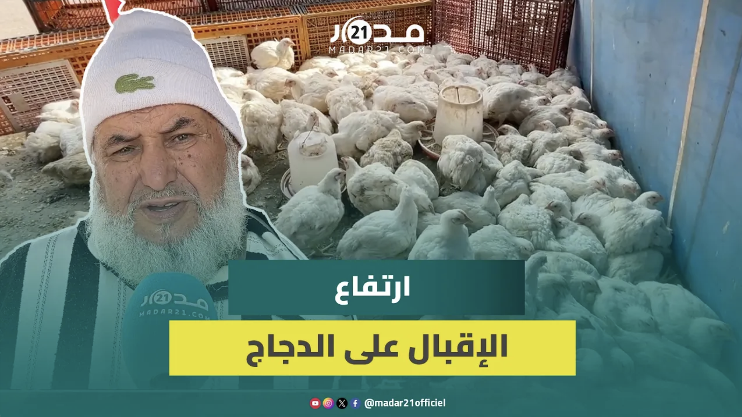 ارتفاع الإقبال على الدواجن بعد استقرار الأسعار في 14 درهما للكيلوغرام