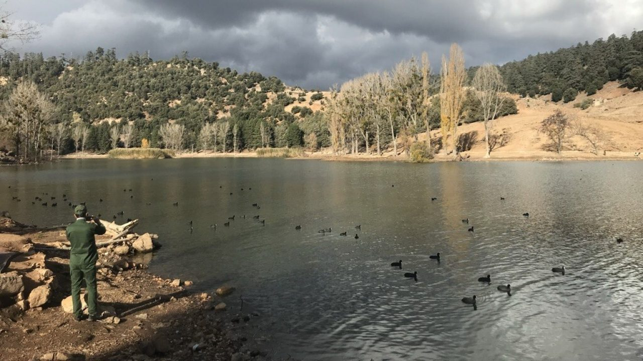 التنوع البيولوجي المغربي في مواجهة ضغوط المناخ والاستنزاف