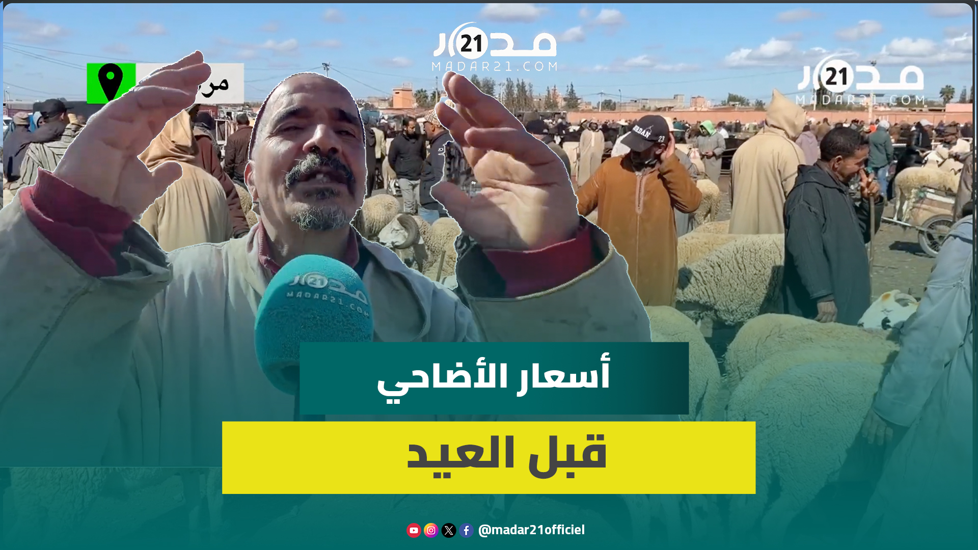 كسابة: لا علاقة لحرب إيران بأسعار الأضاحي والأمطار ستخفض الأسعار