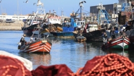 ميناء المضيق.. تراجع مفرغات الصيد البحري بنسبة 30%