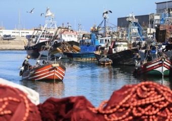 ميناء المضيق.. تراجع مفرغات الصيد البحري بنسبة 30%
