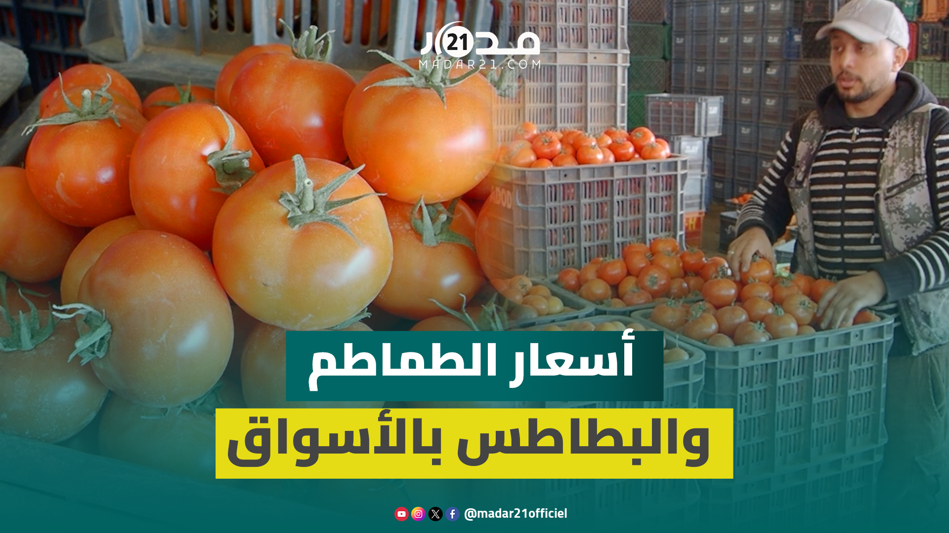 وفرة العرض تخفض أسعار الطماطم مقابل تواصل غلاء البطاطس