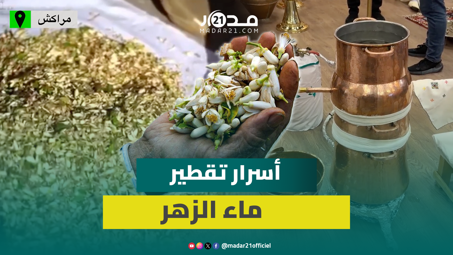 تقطير ماء الزهر.. سرّ من أسرار الثقافة المغربية عبر الأجيال يقاوم الزمن