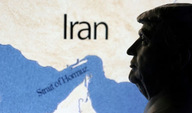 النفط النفط