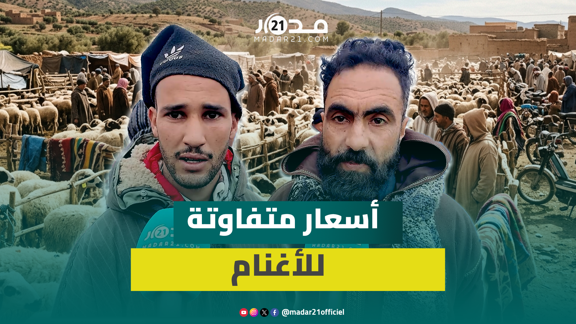 أسعار الغنم بين 2500 و7000 درهما برحبة الفقيه بن صالح والتفاؤل يسبق عيد الأضحى