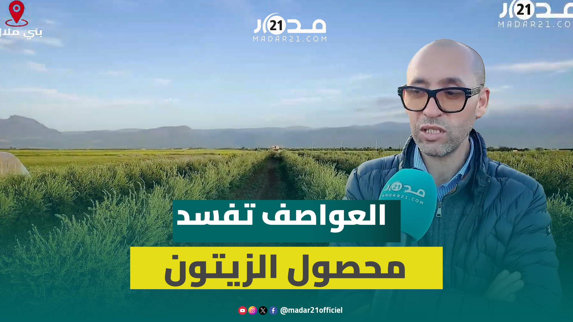 العواصف الرعدية تفسد محصول الزيتون بضيعات ببني ملال ومطالب بدعم الفلاحين
