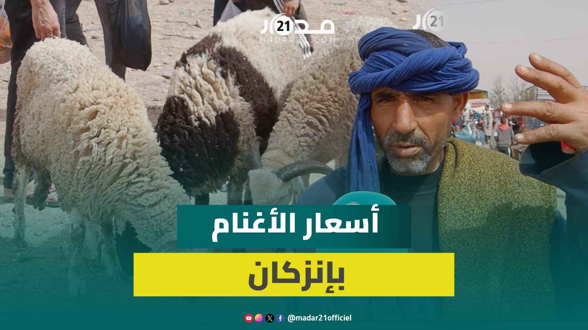 كسابة: أسعار الأغنام انخفضت بـ1500 درهم عن آخر عيد أضحى