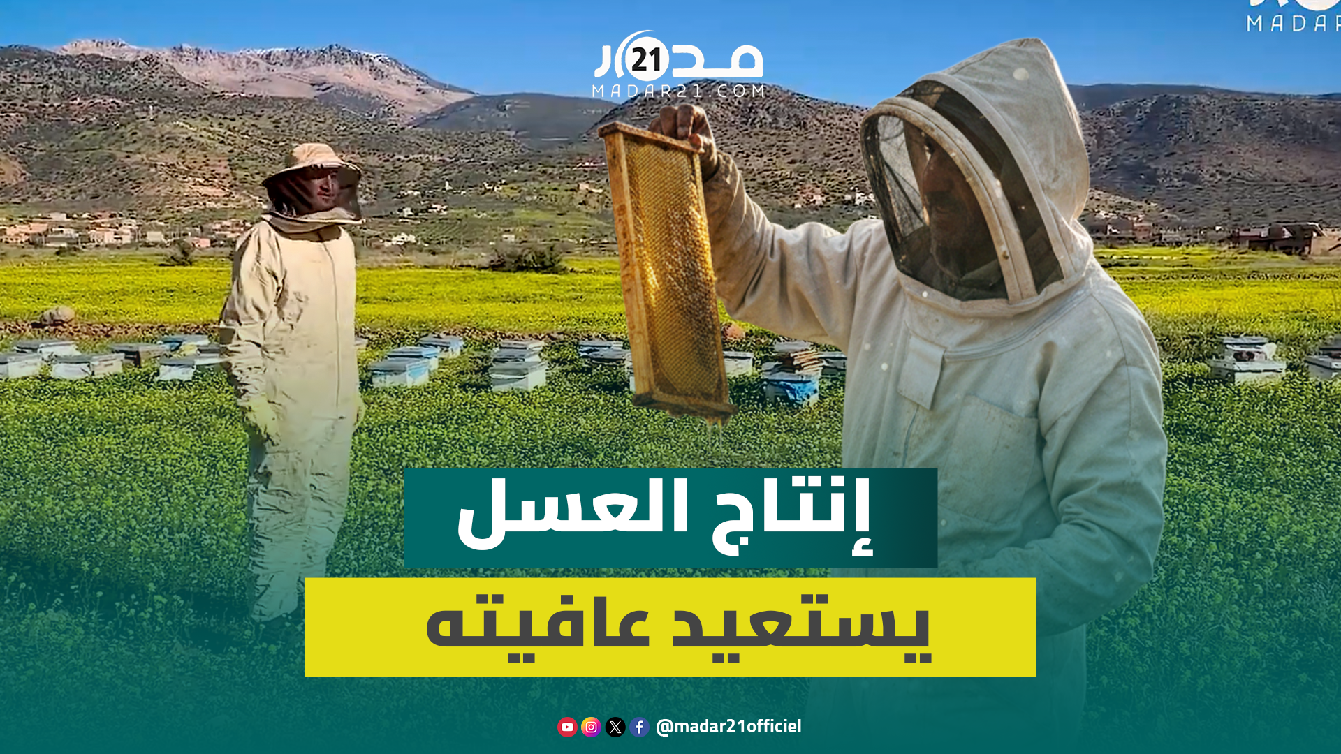 وفرة في العسل بعد الأمطار وتكاثر خلايا النحل والأسعار تختلف حسب النوع والجودة