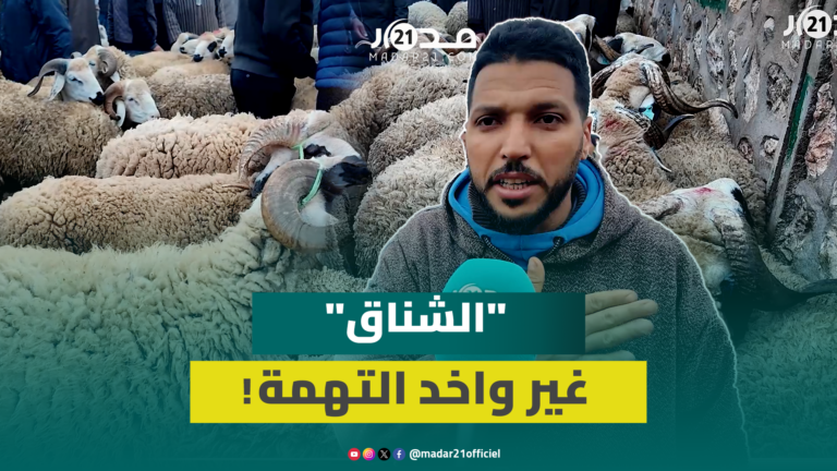 كسابة: حولي العيد موجود ابتداء من 2500 درهم والشناق مسكين ما كيدي والو كسابة: حولي العيد موجود ابتداء من 2500 درهم والشناق مسكين ما كيدي والو
