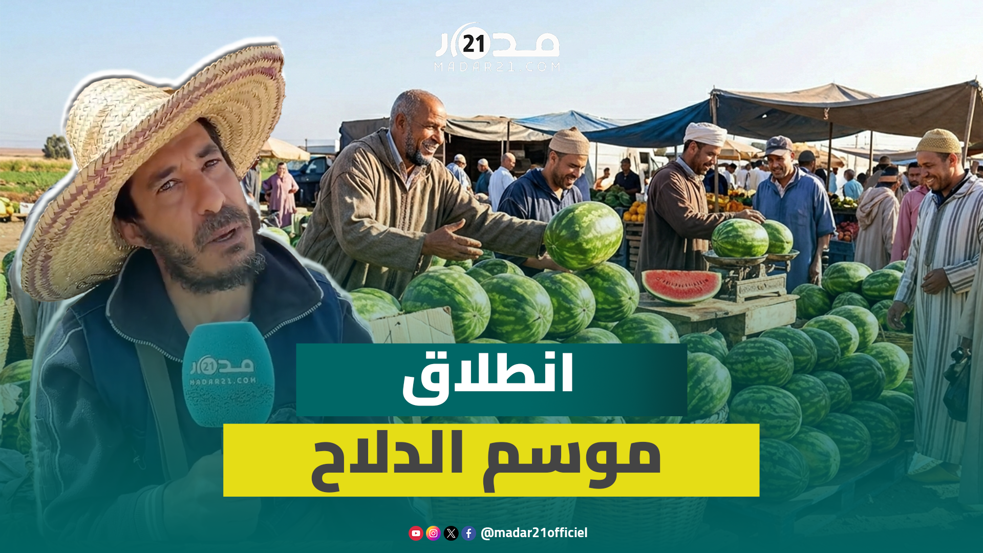 عرض وفير وبأسعار في المتناول.. المهنيون يبشرون بانطلاق “موسم الدلاح” في أفضل الظروف
