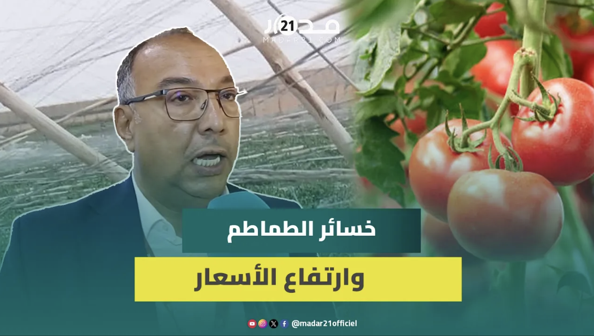 لأول مرة وبالتفاصيل.. مسؤول يكشف حجم وحقيقة خسائر ضيعات الطماطم بسوس ماسة